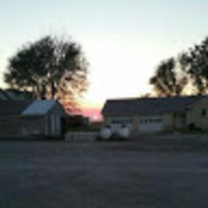 Meet your Posher, Bruce